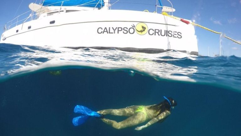 calypso cruises barbados tours